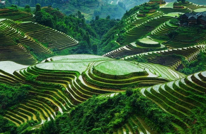 Cultural and Agricultural Heritage of Cordillera Region: The Banaue Rice Terraces