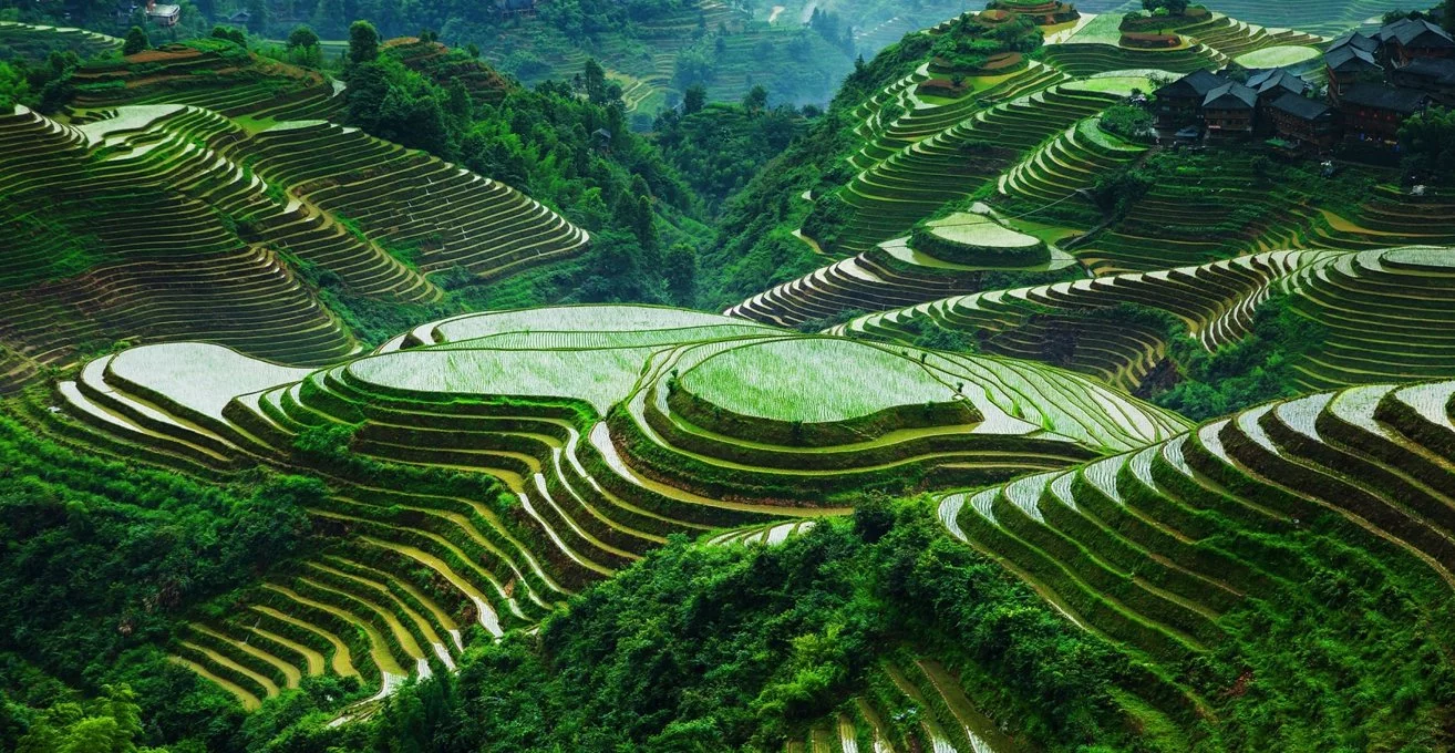 Cultural and Agricultural Heritage of Cordillera Region: The Banaue Rice Terraces