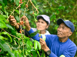 Alsons Power Drives Environmental Sustainability, Empowers Communities in Sarangani