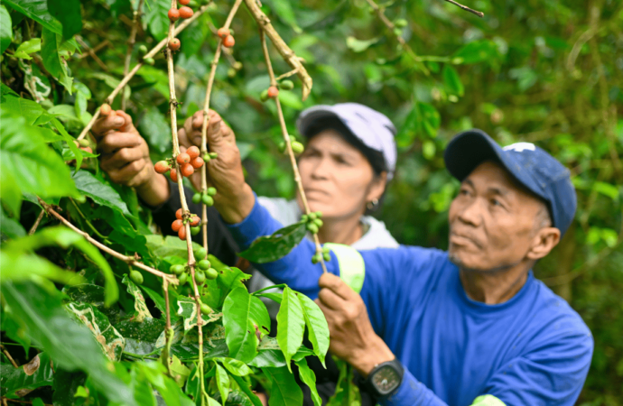 Alsons Power Drives Environmental Sustainability, Empowers Communities in Sarangani