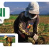 🌾 The Most Innovative Agricultural Distribution Company in Asia: Revolutionizing Farm-to-Market Connections 🌏