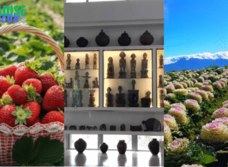 Top 3 Benguet Spots That Will Leave You Breathless
