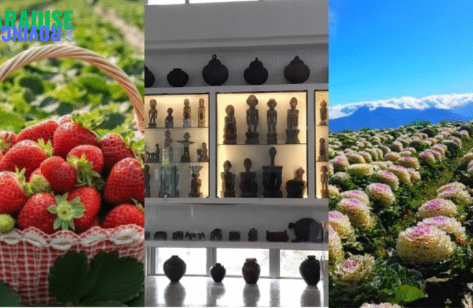 Top 3 Benguet Spots That Will Leave You Breathless