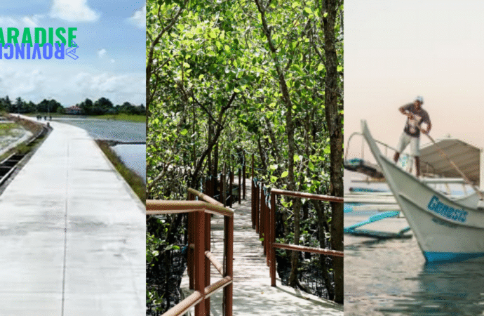 Calapan City: Blending Development, Tourist Spot, and the Environment