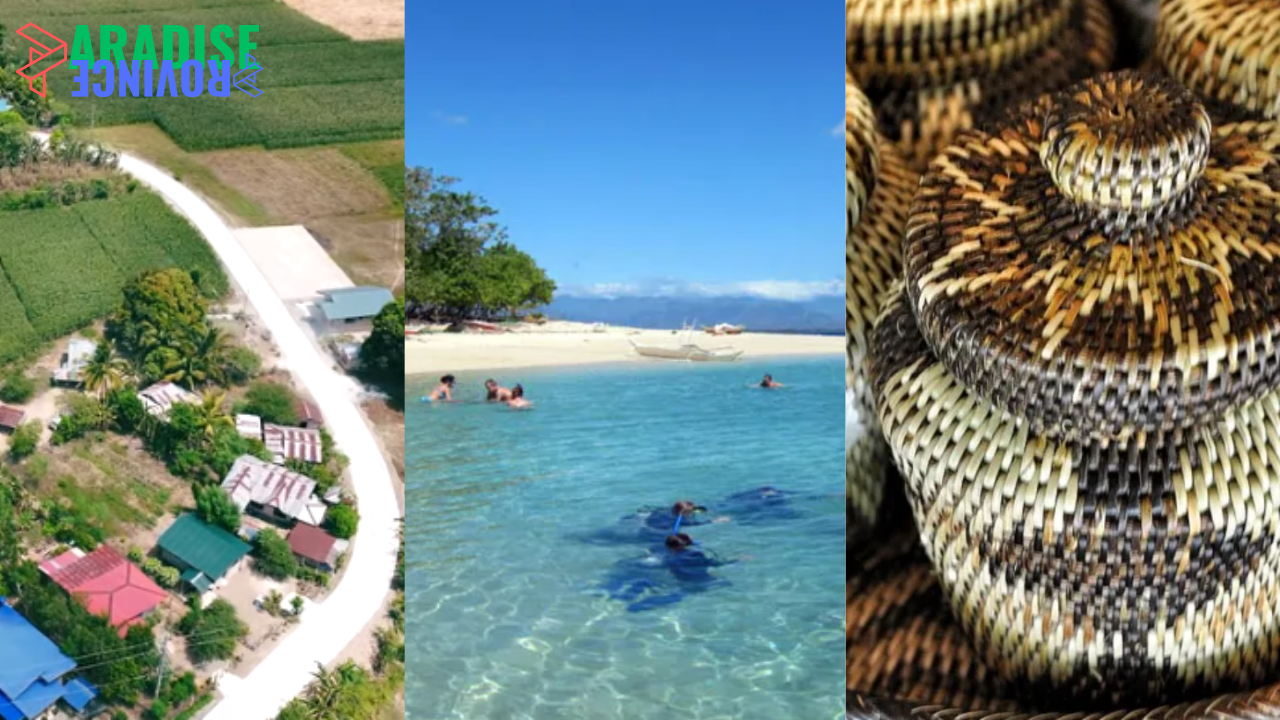 Occidental Mindoro: Pathways, Paradise, and Craftsmanship