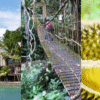 Explore Davao: A Journey Through Nature, Adventure, and Flavor
