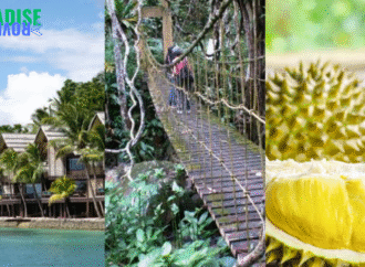 Explore Davao: A Journey Through Nature, Adventure, and Flavor