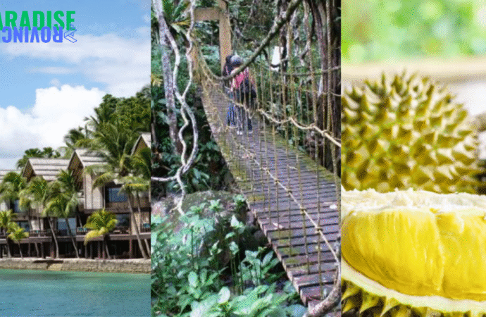 Explore Davao: A Journey Through Nature, Adventure, and Flavor