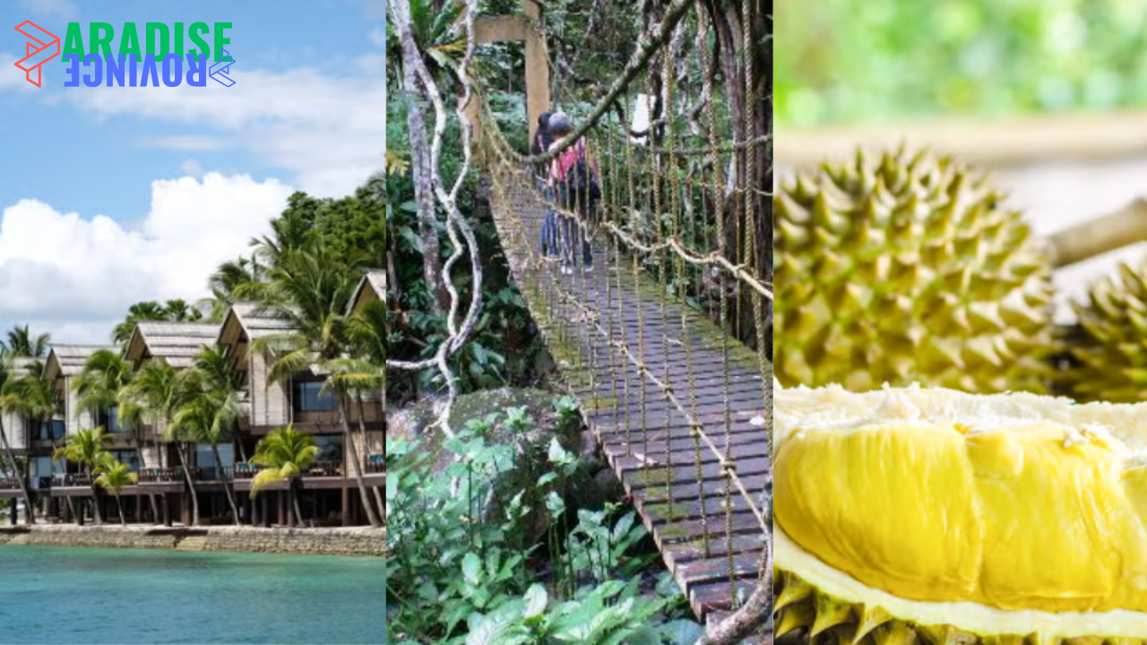Explore Davao: A Journey Through Nature, Adventure, and Flavor
