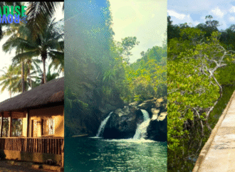 Explore Natural Beauty and Community Progress of Narra, Palawan