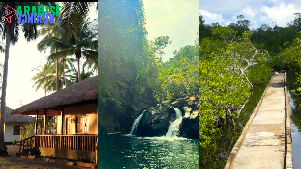 Explore Natural Beauty and Community Progress of Narra, Palawan
