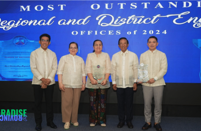 Gerald Pacanan of DPWH MIMAROPA Recognized as the Best Region