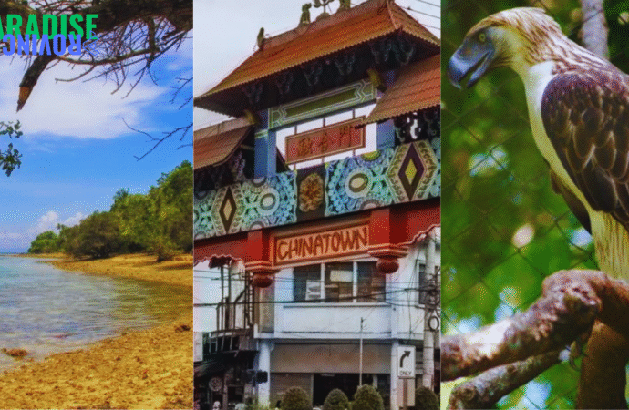 Discover Davao: A Journey Through Islands, Culture, and Conservation