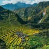 Stairways to the Sky: Discovering the Timeless Beauty of the Banaue Rice Terraces