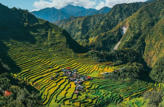 Stairways to the Sky: Discovering the Timeless Beauty of the Banaue Rice Terraces