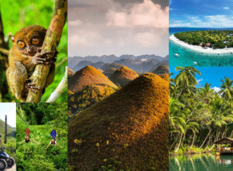 Island Wonders Uncovered: Your Ultimate Guide to Bohol’s Chocolate Hills and Tarsiers