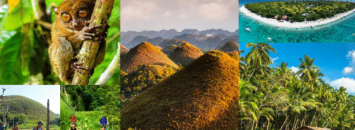 Island Wonders Uncovered: Your Ultimate Guide to Bohol’s Chocolate Hills and Tarsiers