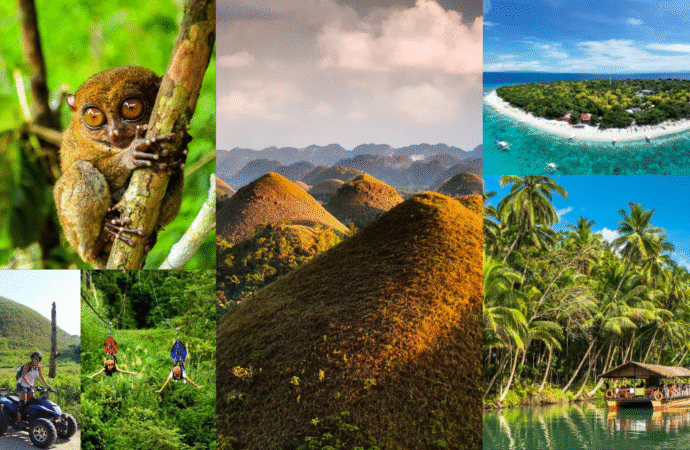Island Wonders Uncovered: Your Ultimate Guide to Bohol’s Chocolate Hills and Tarsiers