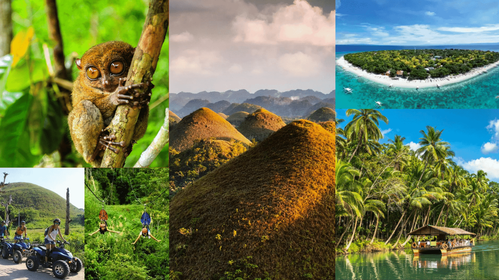 Island Wonders Uncovered: Your Ultimate Guide to Bohol’s Chocolate Hills and Tarsiers