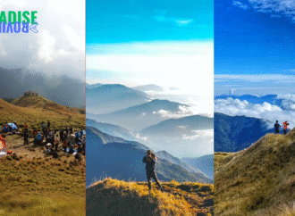 Chasing the Clouds: Your Ultimate Hiking Guide to Mount Pulag