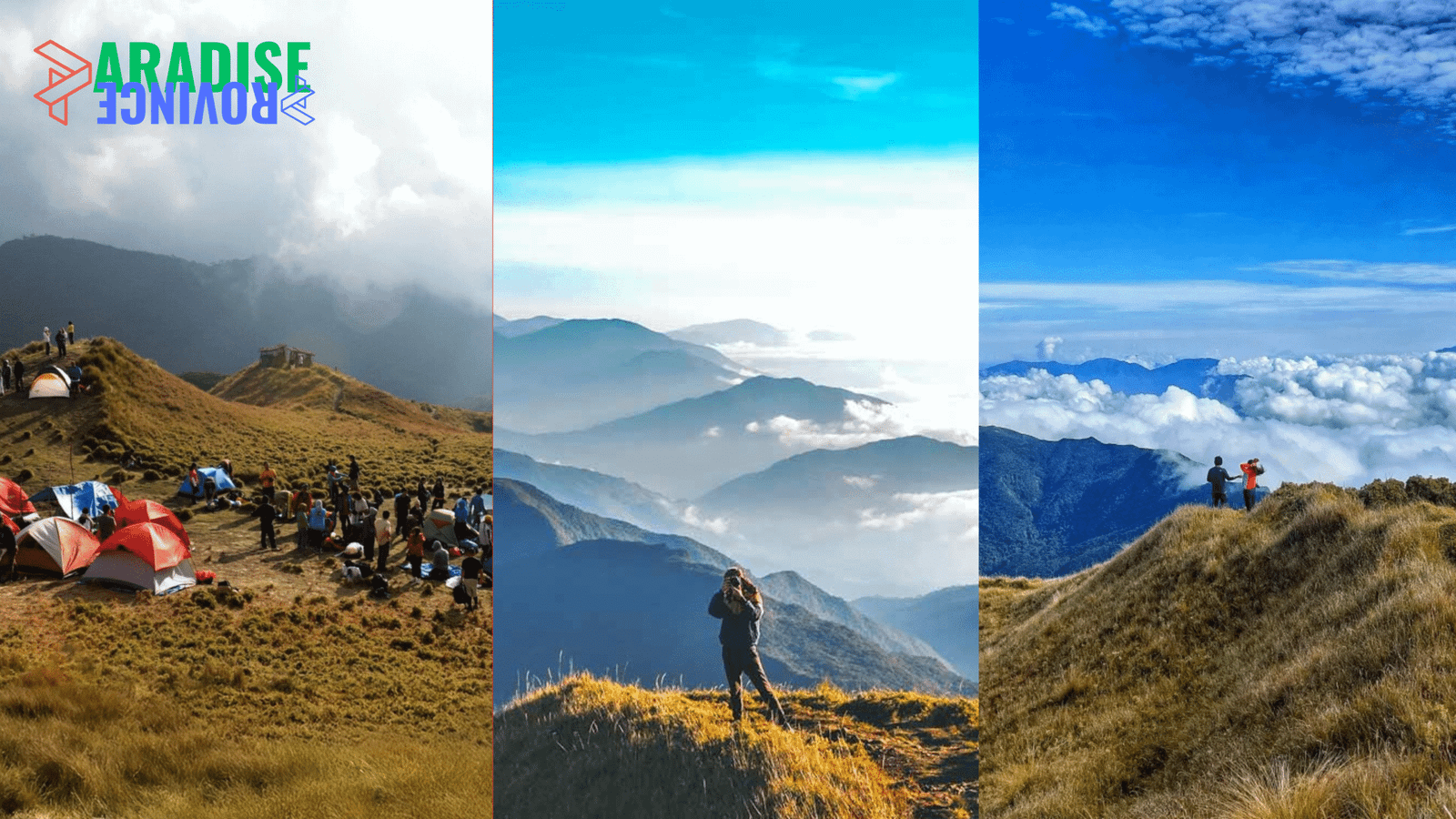 Chasing the Clouds: Your Ultimate Hiking Guide to Mount Pulag