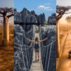 Madagascar: A Travel Guide to Wildlife, Nature, and Adventure
