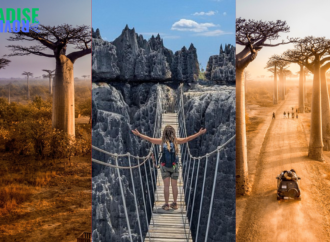 Madagascar: A Travel Guide to Wildlife, Nature, and Adventure