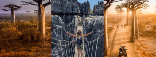 Madagascar: A Travel Guide to Wildlife, Nature, and Adventure