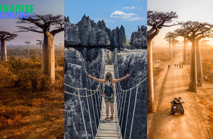 Madagascar: A Travel Guide to Wildlife, Nature, and Adventure