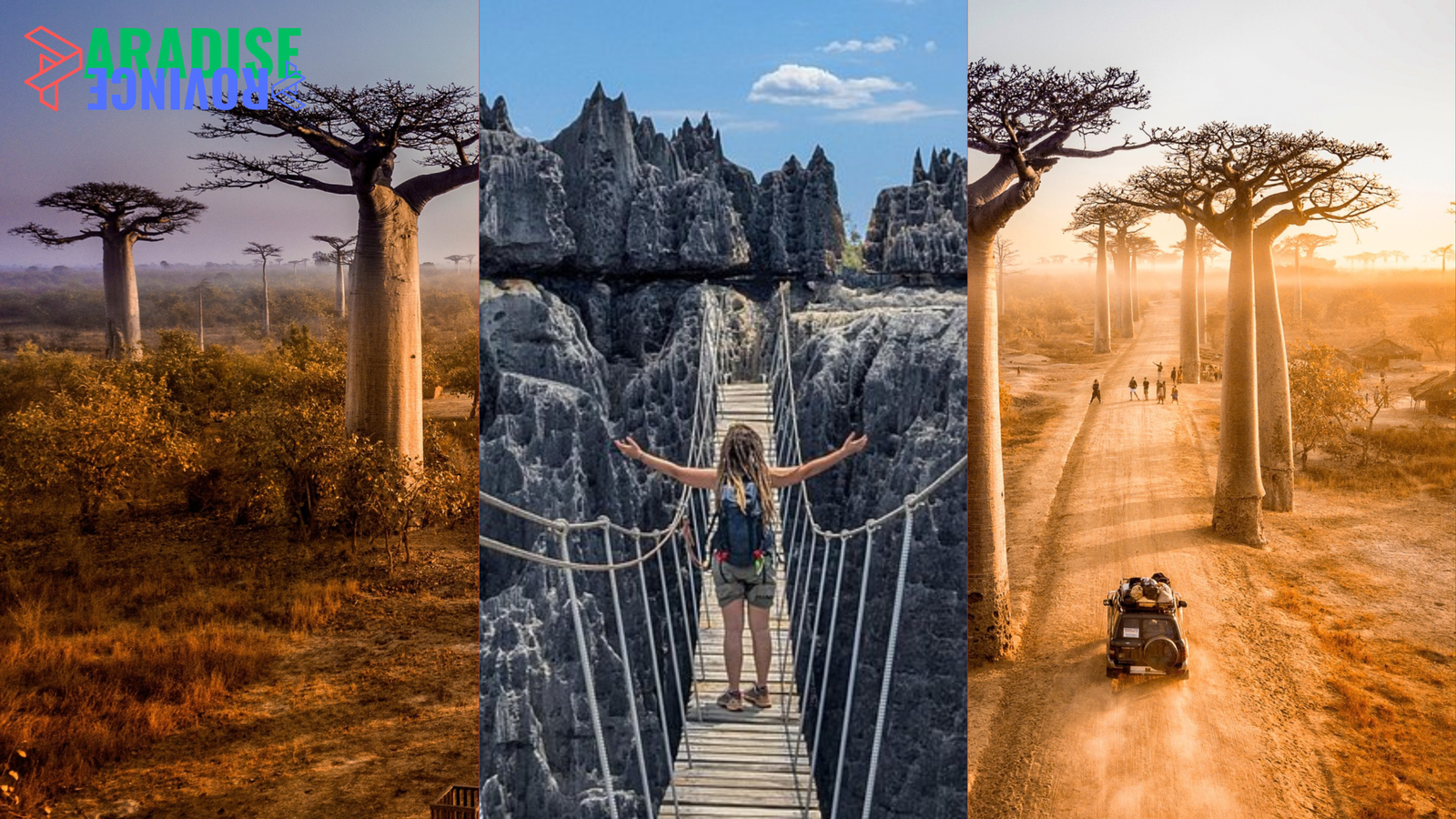 Madagascar: A Travel Guide to Wildlife, Nature, and Adventure