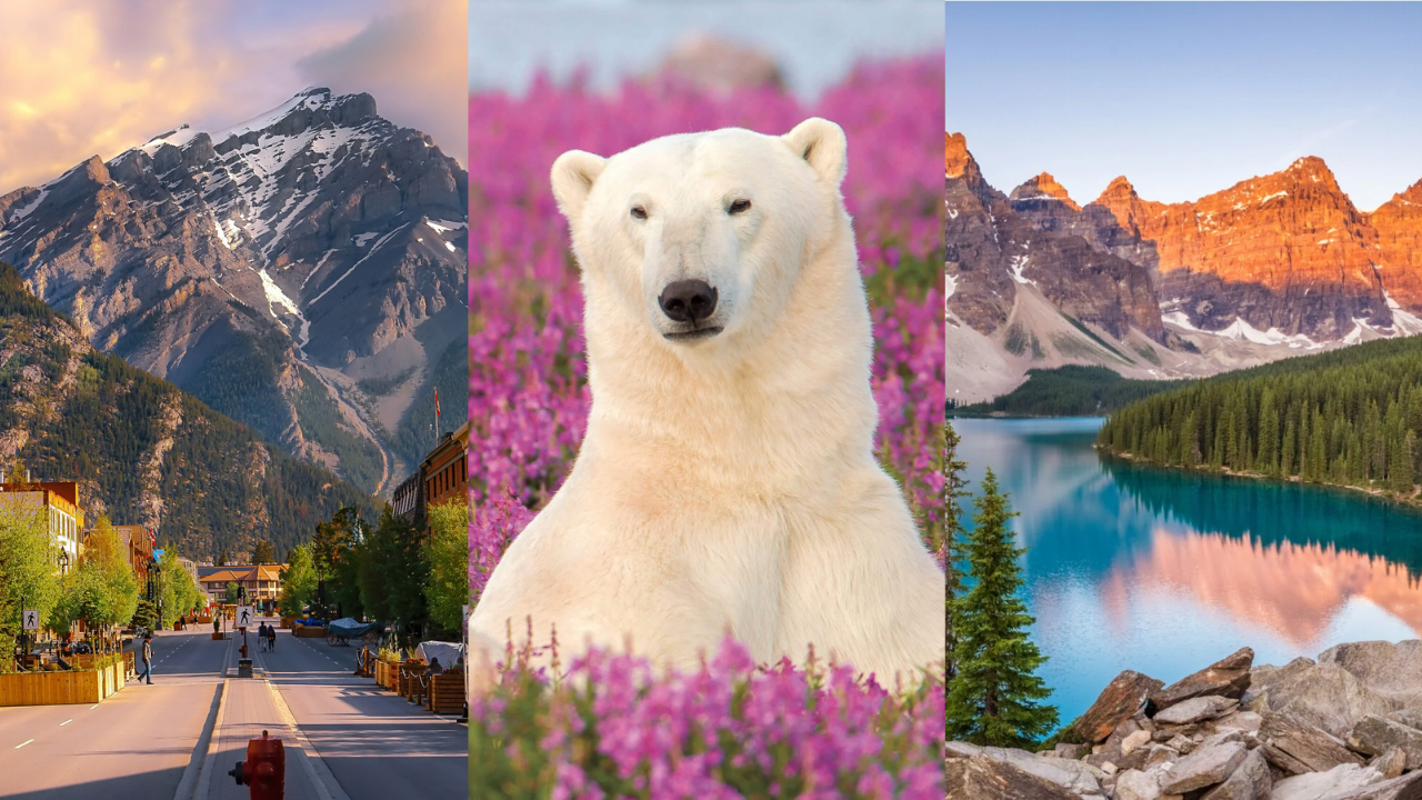 Discover Canada: A Complete Guide to Its Best Seasons, Attractions, and Experiences