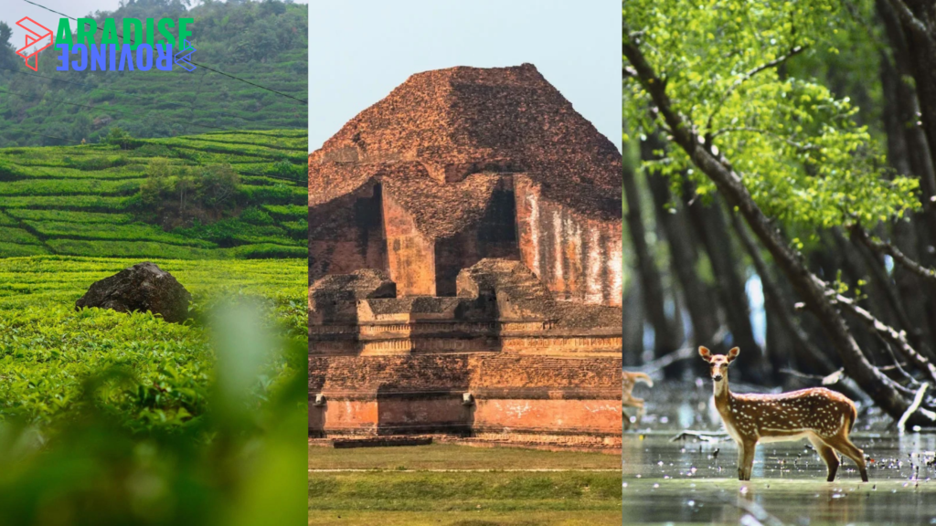 Discover the Beauty of Bangladesh: A Traveler’s Guide to Its Best Destinations