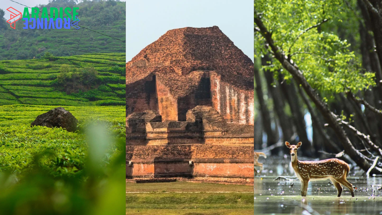 Discover the Beauty of Bangladesh: A Traveler’s Guide to Its Best Destinations