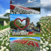 Lintaon Peak: A Breathtaking Escape Above Baybay City