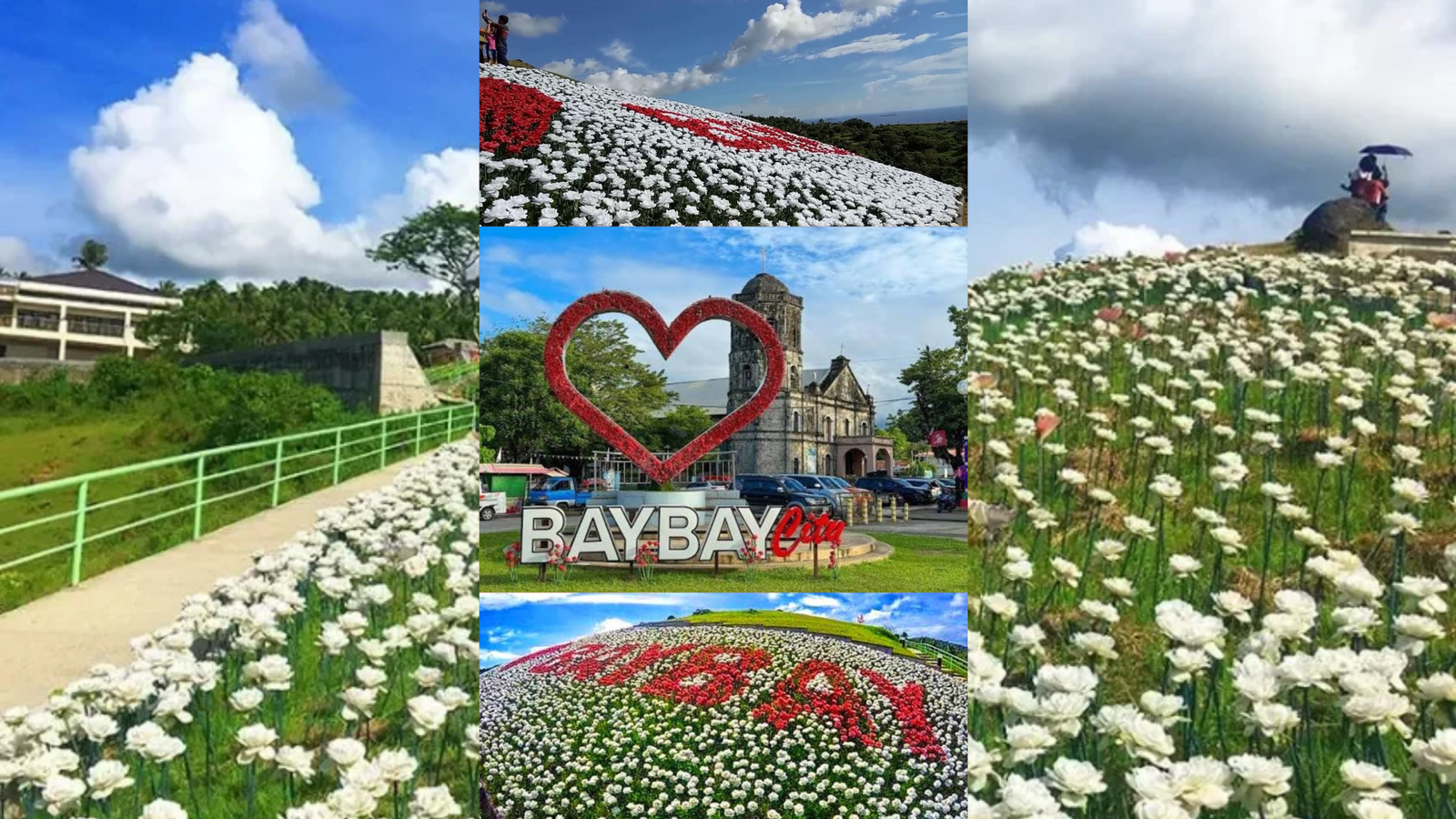 Lintaon Peak: A Breathtaking Escape Above Baybay City