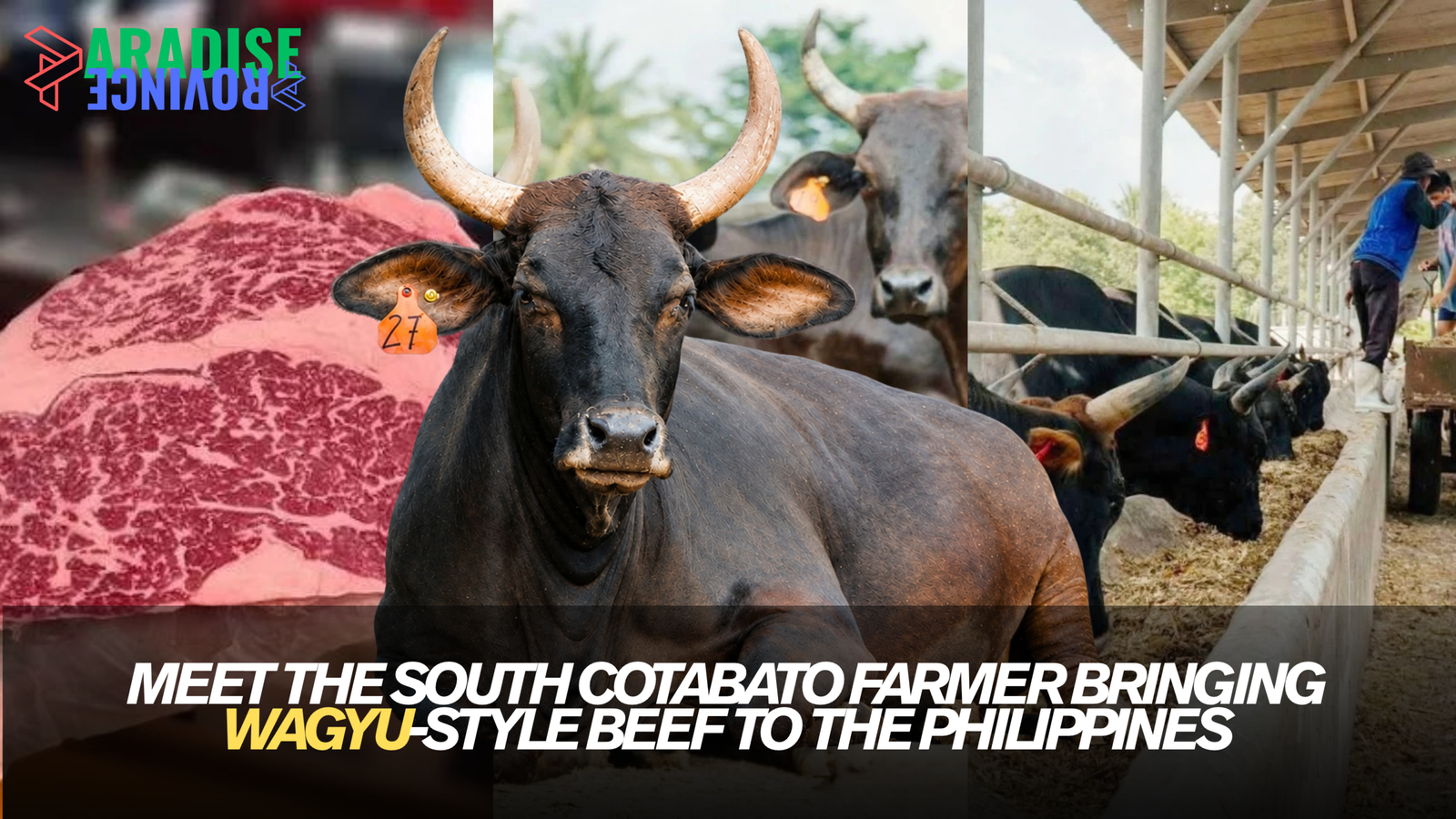 Meet the South Cotabato Farmer Bringing Wagyu-Style Beef to the Philippines